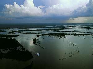 Brésil - Amazone - Région de Navillanas